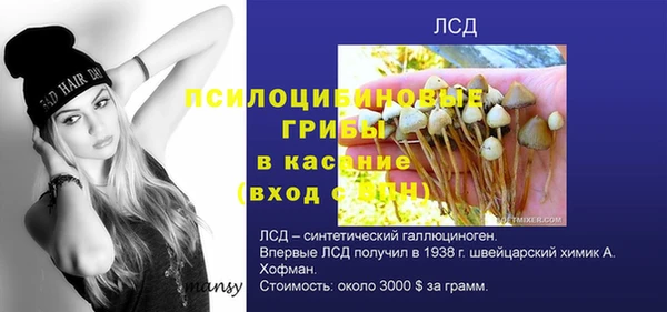 прущая мука Осинники