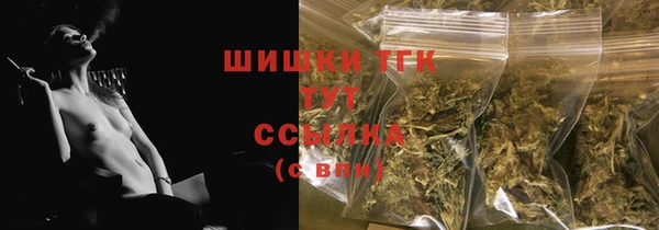 твердый Арсеньев
