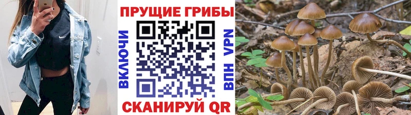 Псилоцибиновые грибы Magic Shrooms  Минеральные Воды 